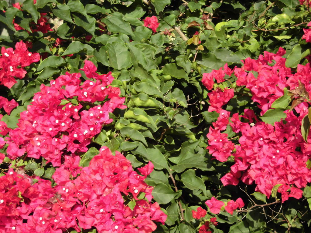 Agroturismo Na Set Centes - Adults Only 아르타 외부 사진