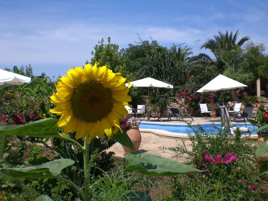 Agroturismo Na Set Centes - Adults Only 아르타 외부 사진